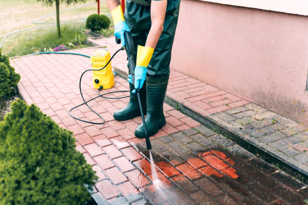 Best Pressure Washing Driveway  in West View, PA