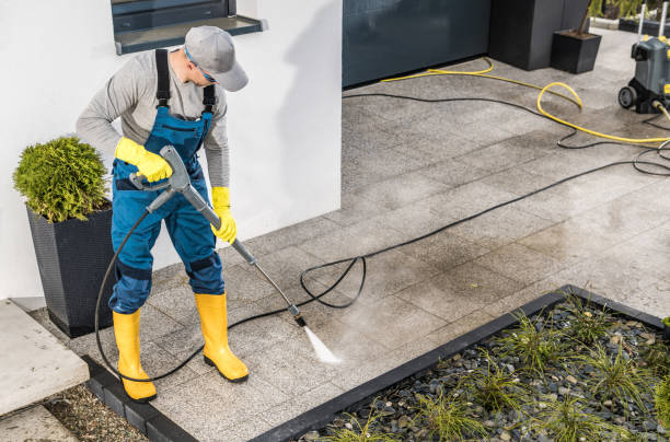 Best Pressure Washing Siding  in West View, PA