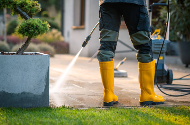 Best Affordable Pressure Washing  in West View, PA